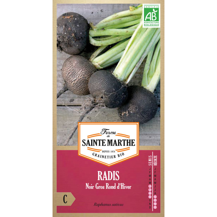 Radis-rave Noir Gros Rond d’Hiver