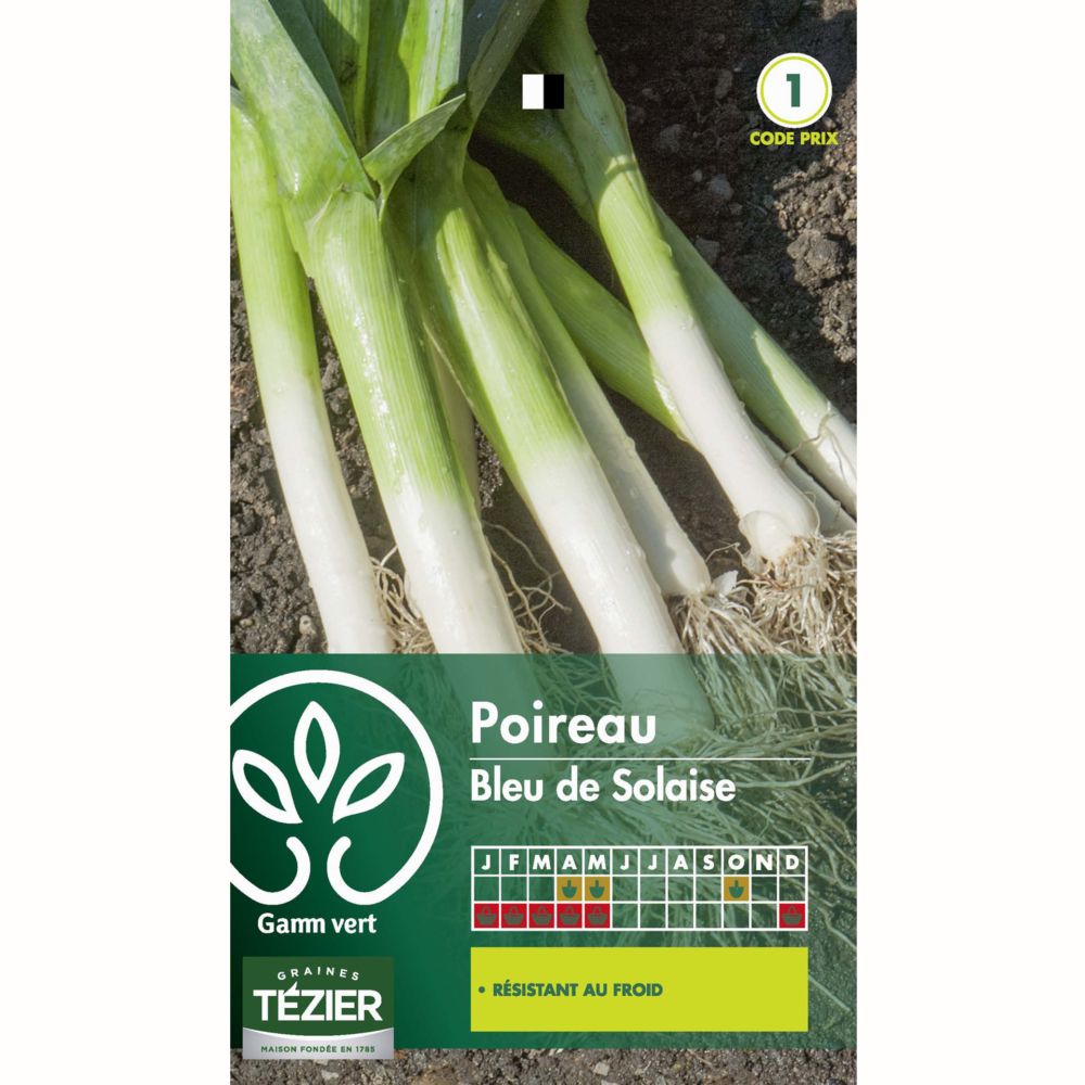 Poireau Bleu de Solaise