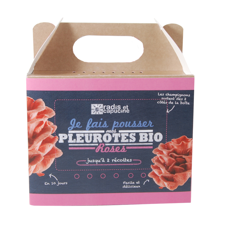 Kit de culture pour champignons pleurotes roses bio 25x20x15 cm
