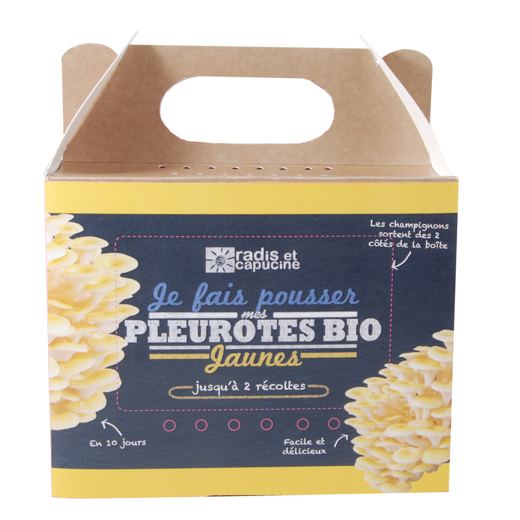 Kit de culture pour champignons pleurotes jaunes bio 25x20x15 cm