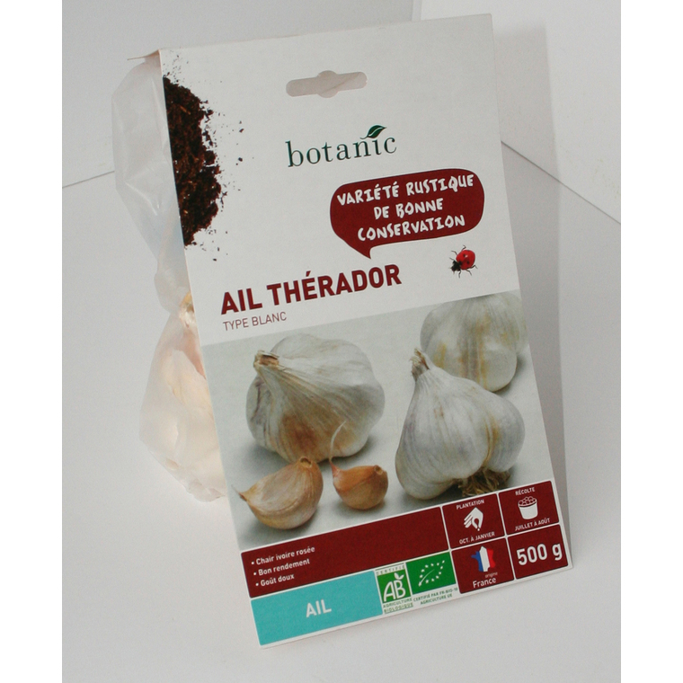 Bulbes d’ail blanc Therador AB bio 55+