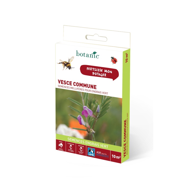 Vesce commune 10 m²