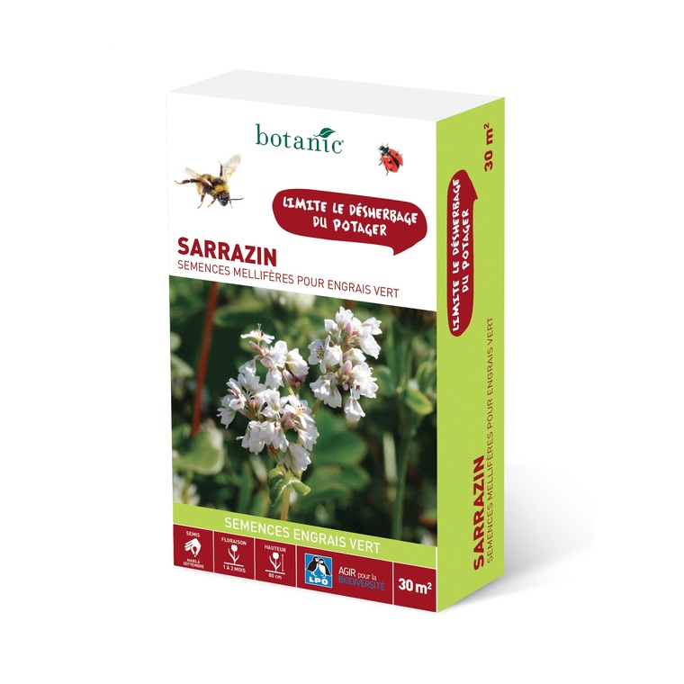 Sarrazin 30 m²