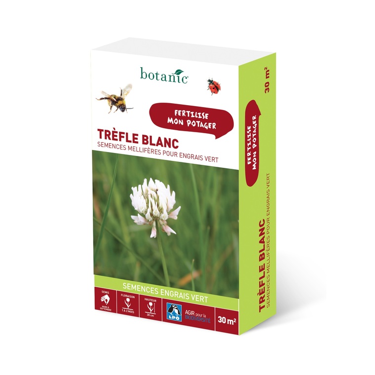 Trèfle blanc 30 M²