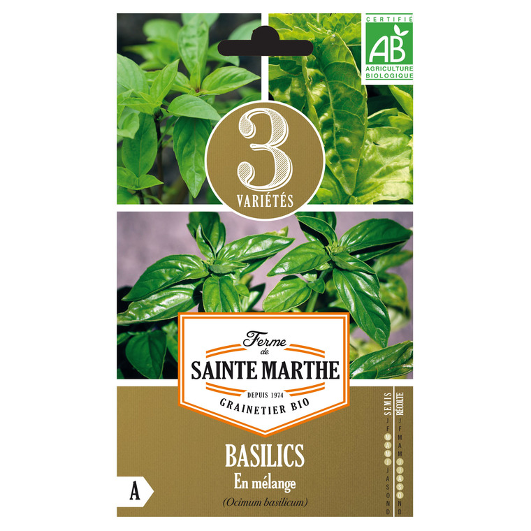 Basilic en Mélange