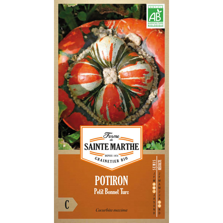 Potiron Petit Bonnet Turc