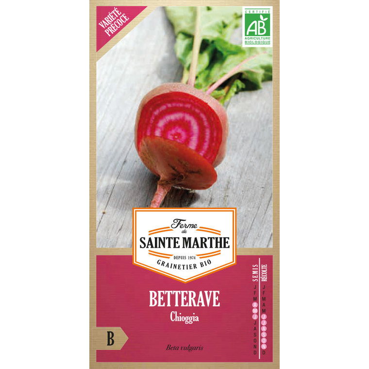 Betterave potagère Chioggia