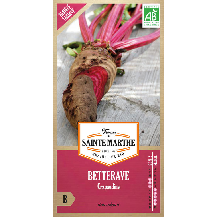 Betterave potagère Crapaudine