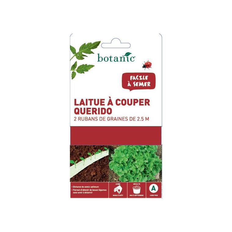 Ruban laitue à couper Querido