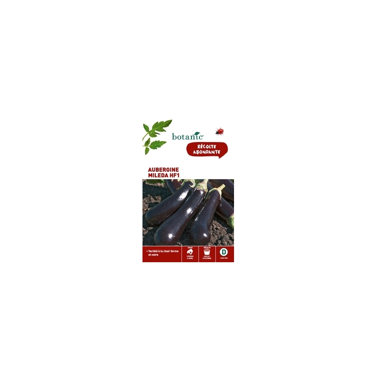Aubergine Mileda HF1 x2 sachets