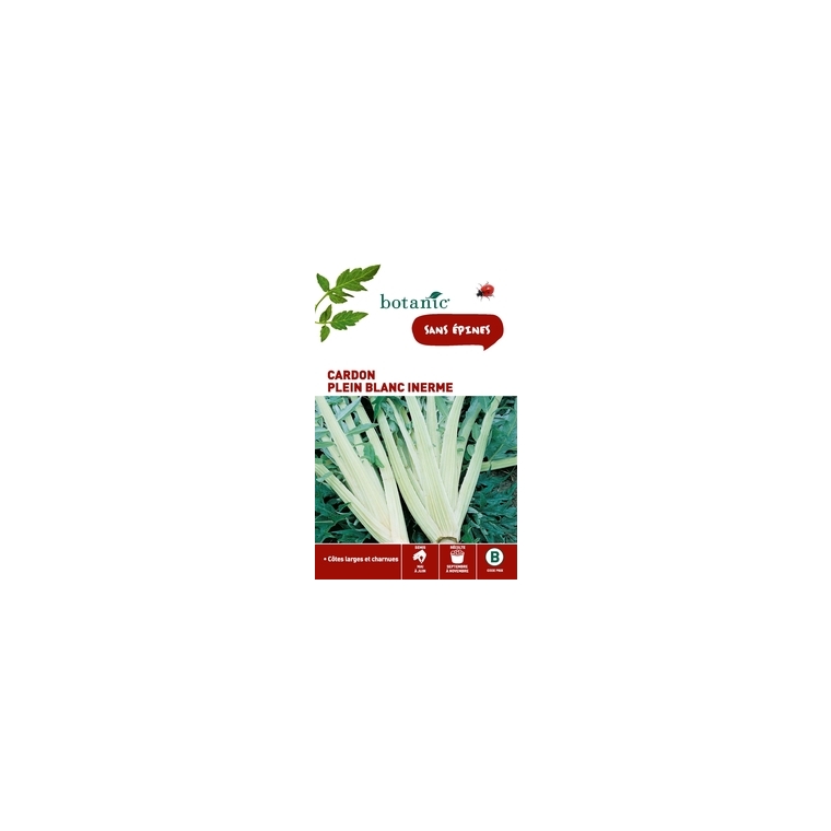 Cardon Plein Blanc Inerme Caillard x2 sachets