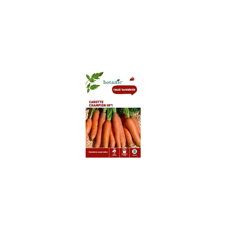 Carotte champion hf1 x2 sachets