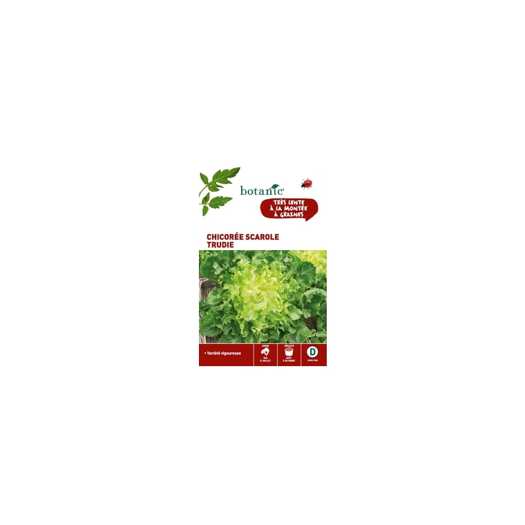 Chicorée scarole trudie Caillard x2 sachets