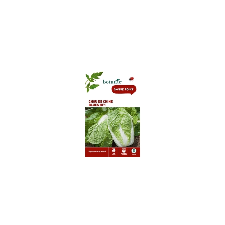Chou de Chine Blues HF1 x2 sachets
