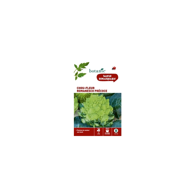 Chou-Fleur Romanesco Précoce Caillard x2 sachets