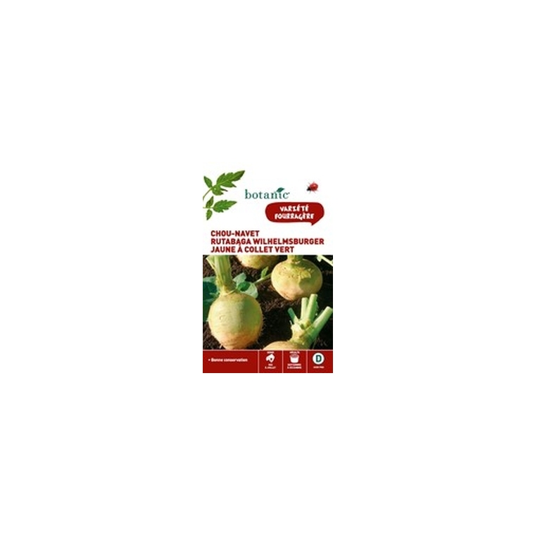 Chou-Navet Rutabaga Wilhelmsburger Caillard