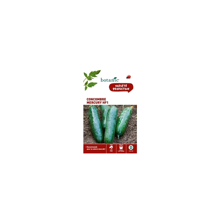 Concombre mercury hybride f1