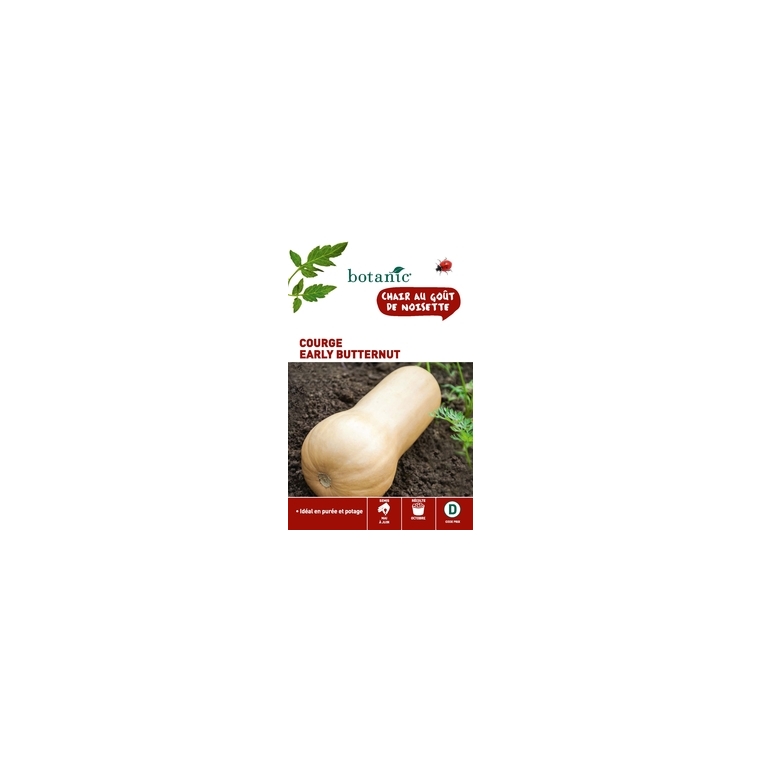 Courge early butternut x2 sachets