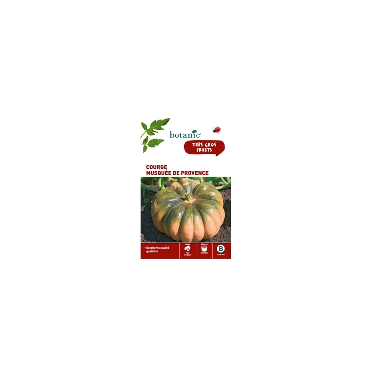 Courge Musquée de Provence Caillard
