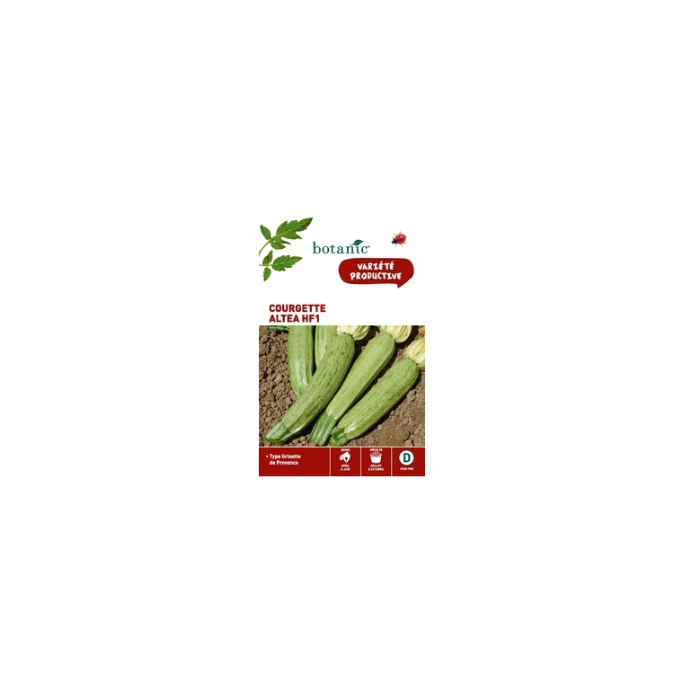 Courgette altea hybride f1 x2 sachets