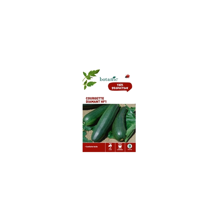 Courgette Diamant HF1 x2 sachets