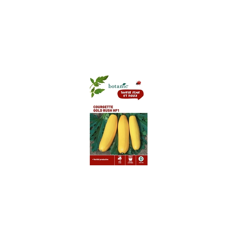 Courgette gold rush hybride f1 x2 sachets