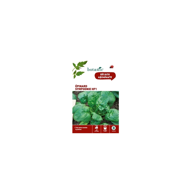 Epinard symphonie hf1 x2 sachets