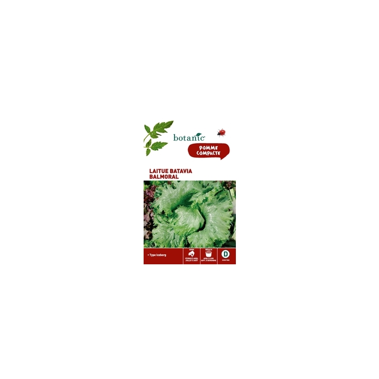 Laitue batavia balmoral (type iceberg) Caillard x2 sachets