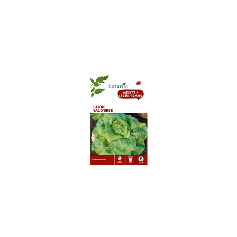 Laitue Val d’Orge Caillard x2 sachets