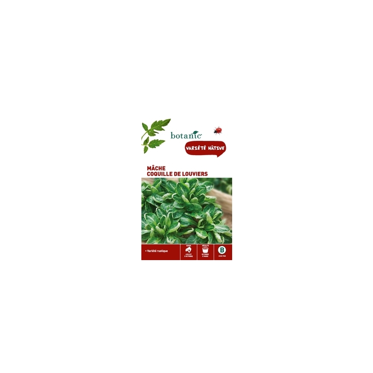 Mâche Coquille de Louviers Caillard x2 sachets