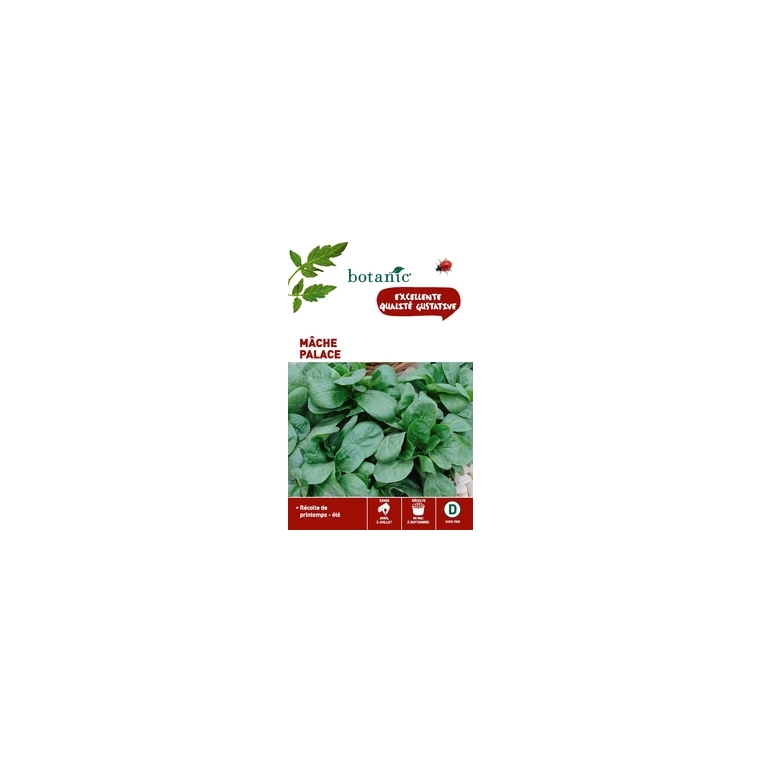 Mache palace Caillard x2 sachets