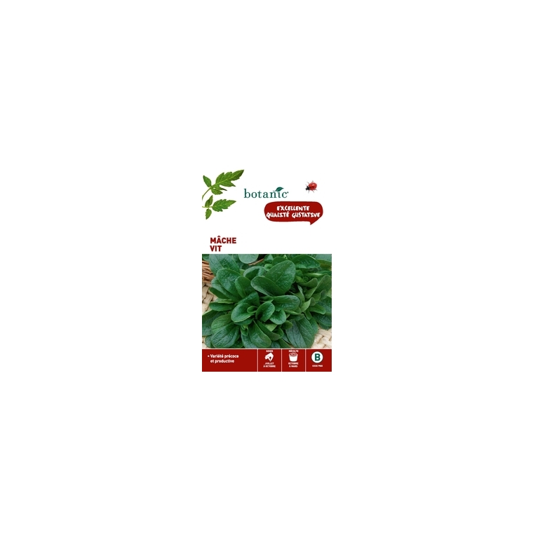 Mâche Vit Caillard x2 sachets