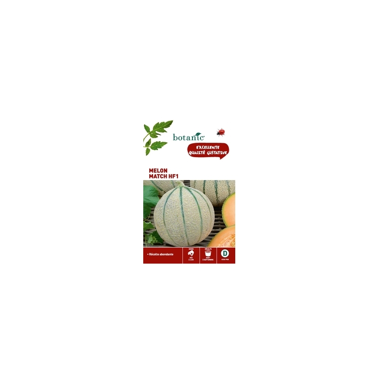 Melon match hybride f1 x2 sachets