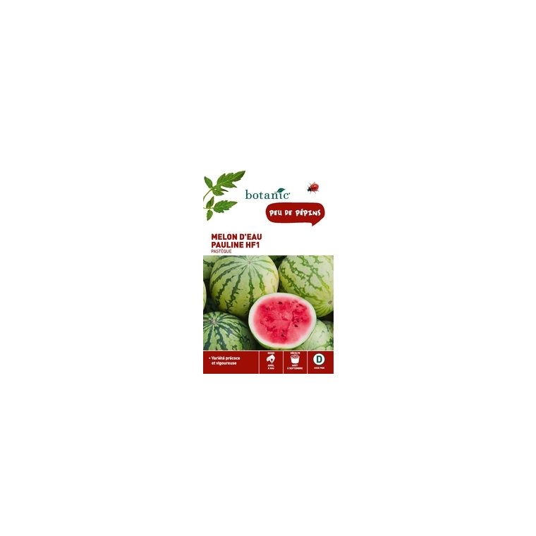 Melon d’Eau Pauline HF1 pastèque x2 sachets