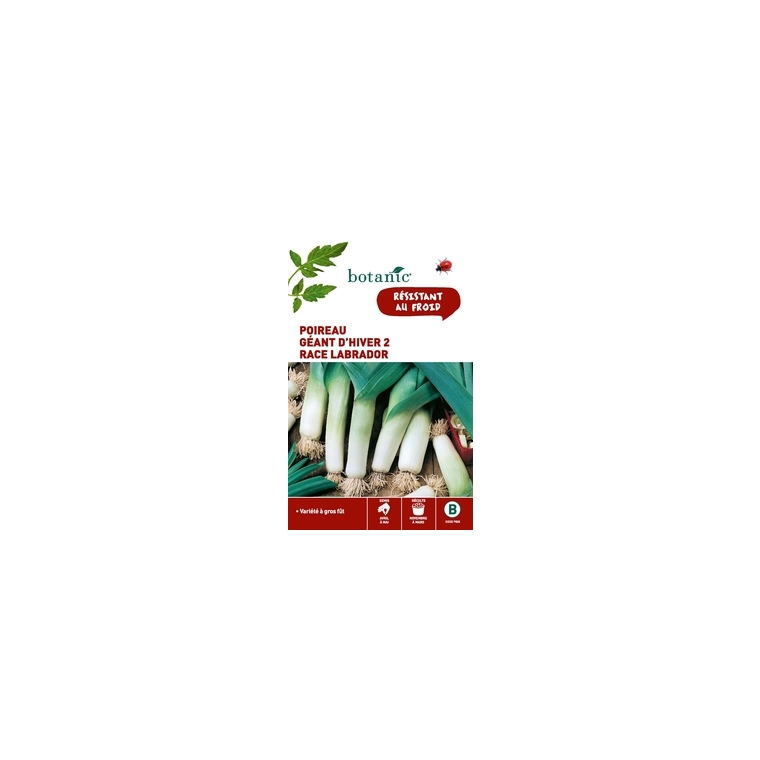 Poireau Géant d’Hiver 2 Race Labrador Caillard x2 sachets