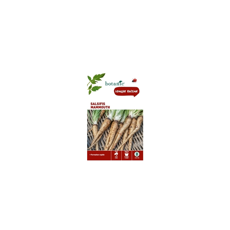 Salsifis mammouth Caillard x2 sachets