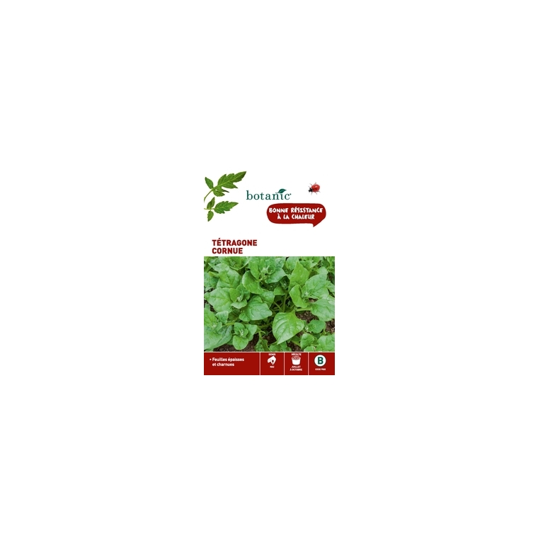 Tétragone Cornue Caillard x2 sachets