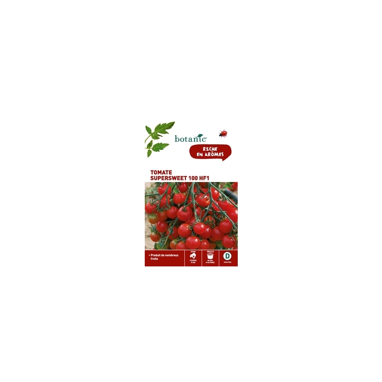 Tomate Supersweet 100 HF1