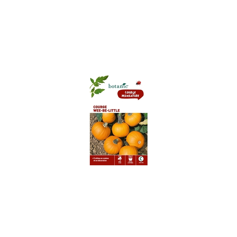 Courge wee-be-little Insolite x2 sachets