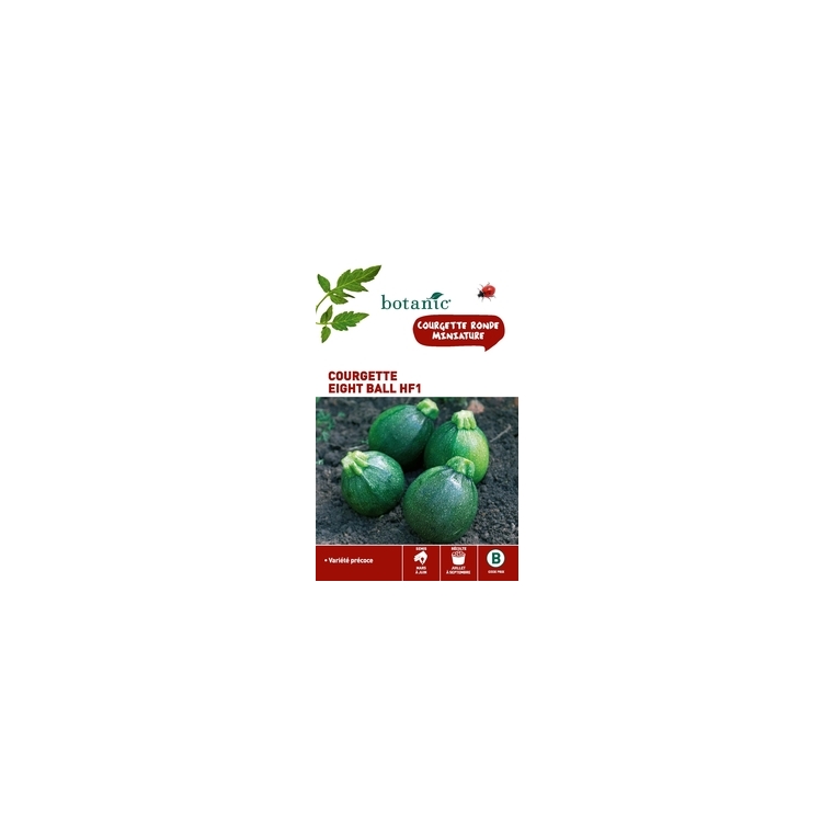 Courgette eight ball hybride f1 Insolite x2 sachets