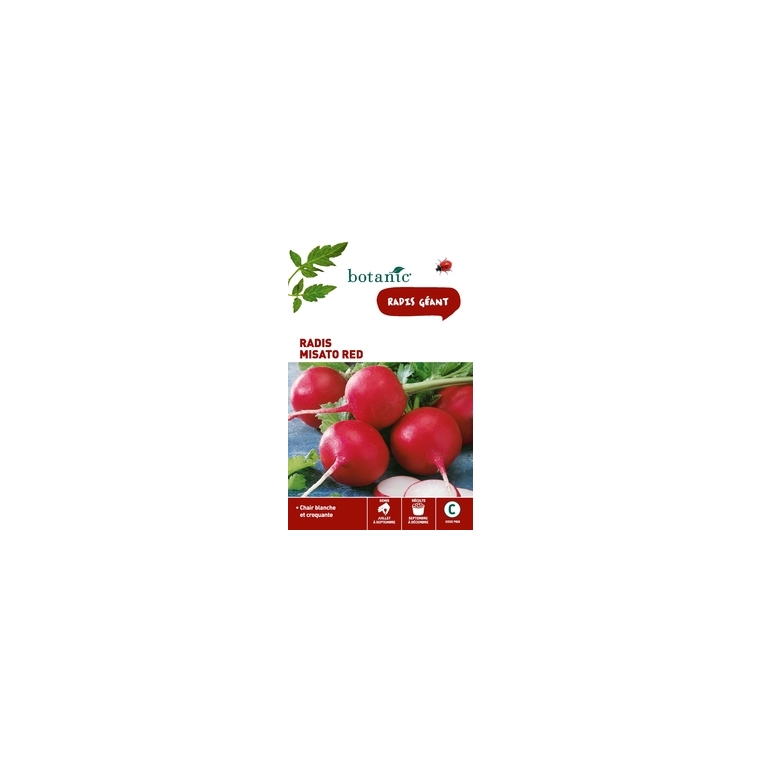 Radis misato red Insolite x2 sachets