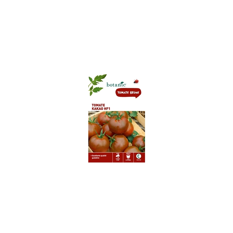 Tomate kakao f1 Insolite