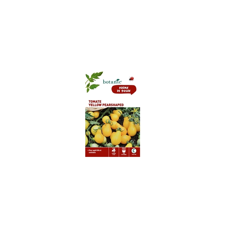 Tomate yellow pearshaped Insolite x2 sachets