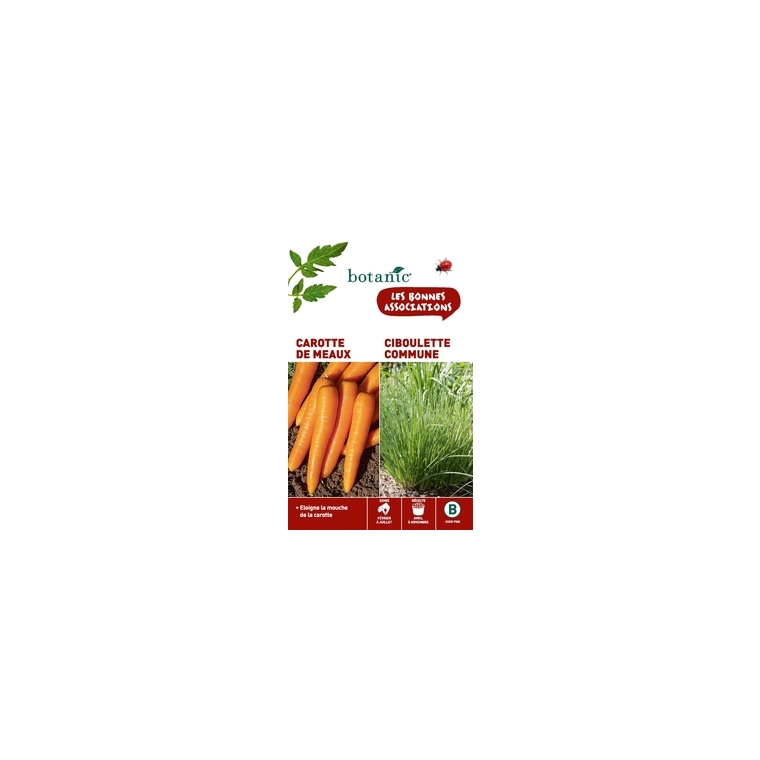 Carotte de meaux + ciboulette commune Duo compagne