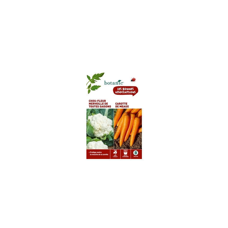 Chou fleur merveille de toutes saisons+ carotte de meaux Duo compagne