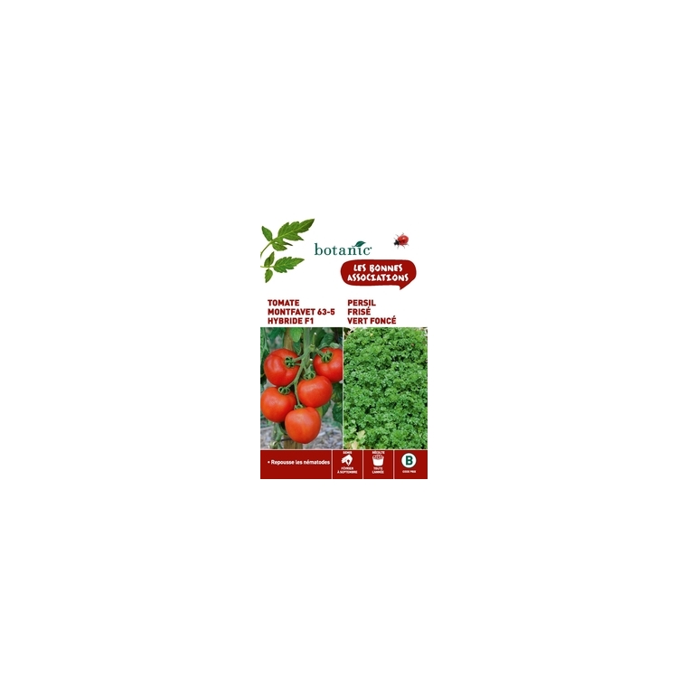 Tomate montfavet 63/5 hybride f1 + persil frise vert fonce Duo compagne
