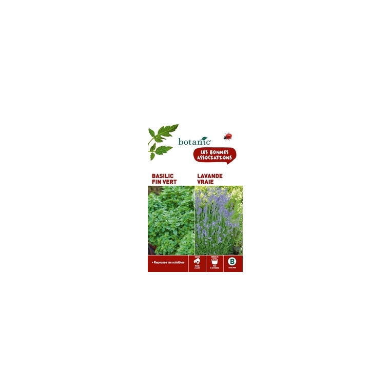 Basilic fin vert + lavande vraie Duo compagne