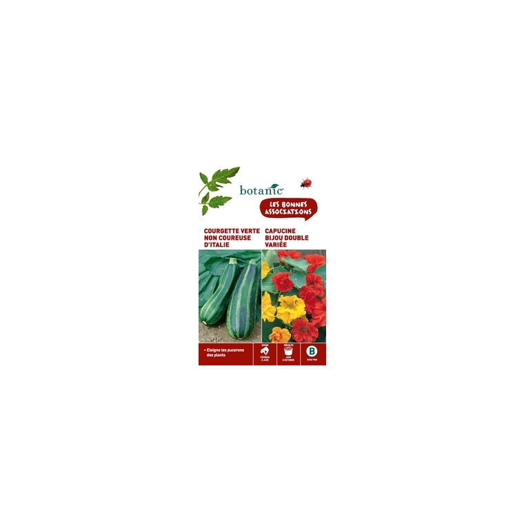 Courgette verte non coureuse d'Italie + capucine bijou doubl Duo compagne