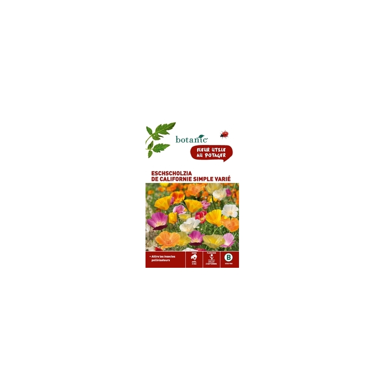 Eschscholzia de Californie simple variée x 2 sachets