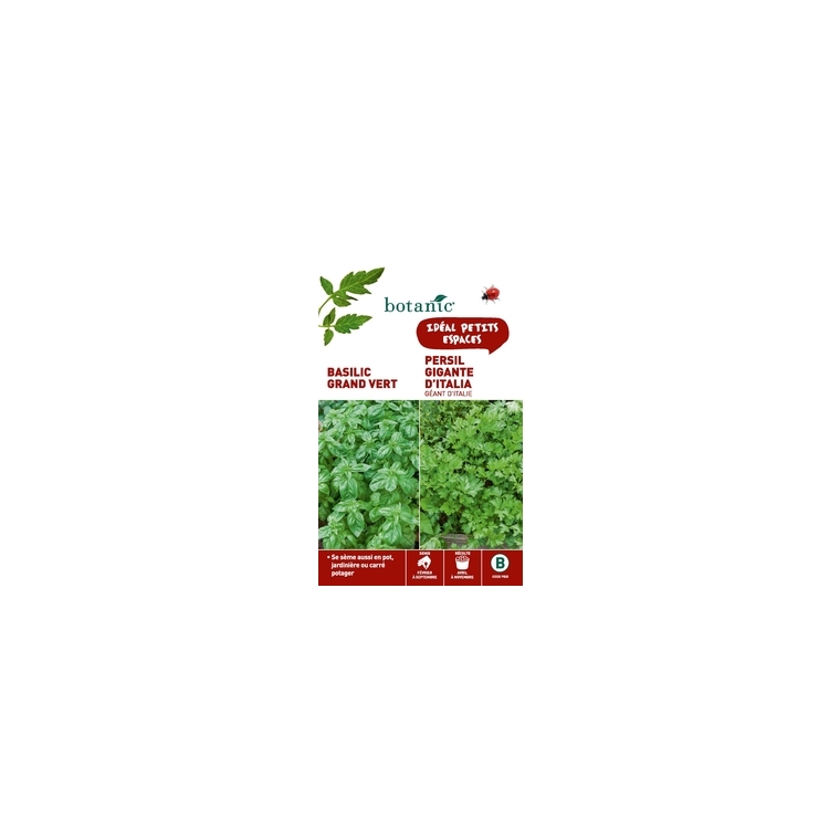 Basilic grand vert + persil gigante d'italia Duo aromatique
